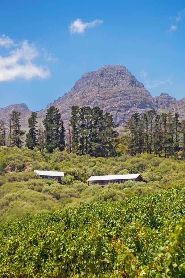 Bush Lodge At Hidden Valley Wines Стеленбош Екстериор снимка