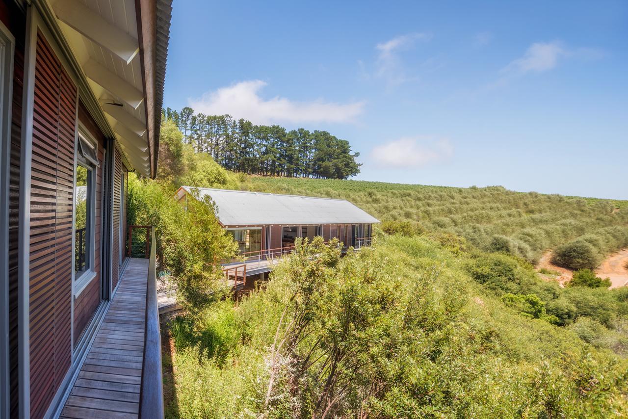 Bush Lodge At Hidden Valley Wines Стеленбош Екстериор снимка